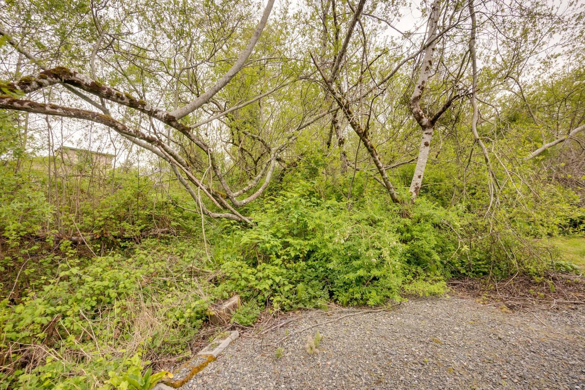 Soothing Studio With Lush Views 2 Mi To Beach! Smith River Exterior foto